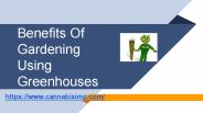 Benefits Of Gardening Using Greenhouses