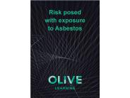 Risks posed with exposure to Asbestos