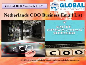 Netherlands COO Business Email List