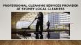 Professional Cleaning Services