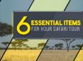 6 Essential Items For Your Safari Tour PowerPoint PPT Presentation