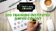 SEO Training Institutes Nathu Colony
