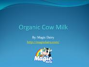 Organic Cow Milk