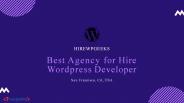 Best Agency for Hire Wordpress Developer