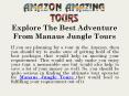 Explore The Best Adventure From Manaus Jungle Tours PowerPoint PPT Presentation