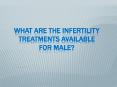 What are the infertility treatments available for male? PowerPoint PPT Presentation