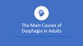Main reasons of dysphagia in adults PowerPoint PPT Presentation