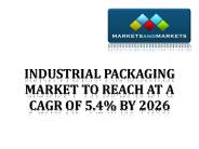 Industrial Packaging Market