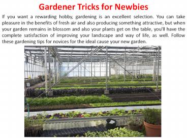 Gardener Tricks for Newbies