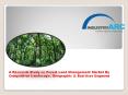 Forest Land Management Market PowerPoint PPT Presentation