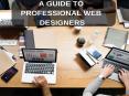 A Guide To Professional Web Designer PowerPoint PPT Presentation