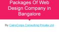 CairoCorps Consulting - Packages of Web Design Company in Bangalore PowerPoint PPT Presentation