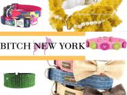 Designer Dog Collars