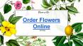 Bloomsvilla - Order Flowers Online in Pune PowerPoint PPT Presentation