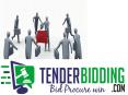 Tender bidding | Tender bidding support | Bid Tenders | Bid Government Tenders PowerPoint PPT Presentation