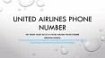 Get Great Ticket Deals at United Airlines Phone Number PowerPoint PPT Presentation