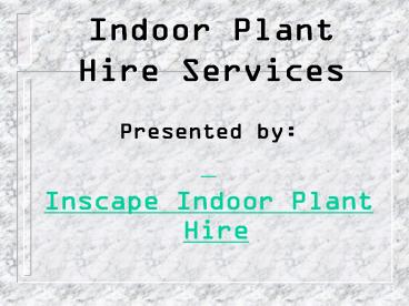 Best Indoor Plant Hire Services in Melbourne