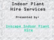 Best Indoor Plant Hire Services in Melbourne