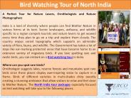 Bird Watching Tour of North India