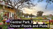 Central Park 3