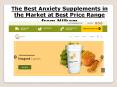 The Best Anxiety Supplements in the Market at Best Price Range from Niikam PowerPoint PPT Presentation