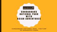 Sunderbans National Park Safari Booking