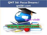 QNT 561 Focus Dreams / qnt561.com