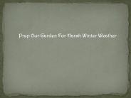 Prep Our Garden For Harsh Winter Weather