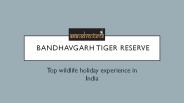 Bandhavgarh Tiger Reserve