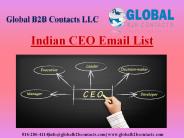 Indian CEO Email List