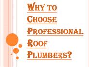 Benefits of Choosing Professional Roof Plumbers
