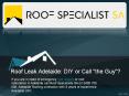Roof Leak Adelaide: DIY or Call "the Guy"? PowerPoint PPT Presentation