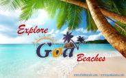 Amazing Beaches in Goa (1)