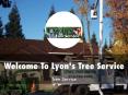 Information Presentation Of Lyon's Tree Service PowerPoint PPT Presentation