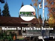 Information Presentation Of Lyon's Tree Service