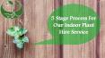 5 Stage Process For Our Indoor Plant PowerPoint PPT Presentation