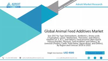 Global Animal Feed Additives Market Size , Trends Outlook Report 2025
