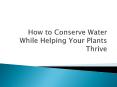 How to Conserve Water While Helping Your Plants Thrive PowerPoint PPT Presentation