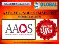 AAOS ATTENDEES EMAIL LIST PowerPoint PPT Presentation