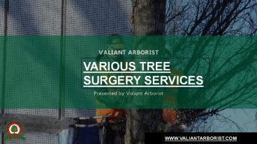 Various Tree Surgery Services - Valiant Arborist