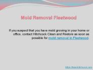 Mold Removal Fleetwood