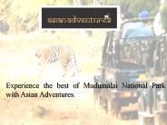 Mudumalai National Park (1)