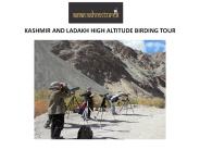 Kashmir and ladakh tour packages