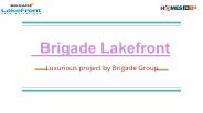 Brigade Lakefront