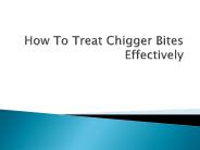 How To Treat Chigger Bites Effectively