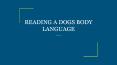 READING A DOGS BODY LANGUAGE PowerPoint PPT Presentation