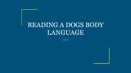 READING A DOGS BODY LANGUAGE