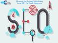 Elements Not To Omit While Doing Local SEO For Small Businesses PowerPoint PPT Presentation