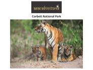 Corbett national park Uttarakhand