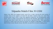 Silpaulin Mulch Film 30 GSM